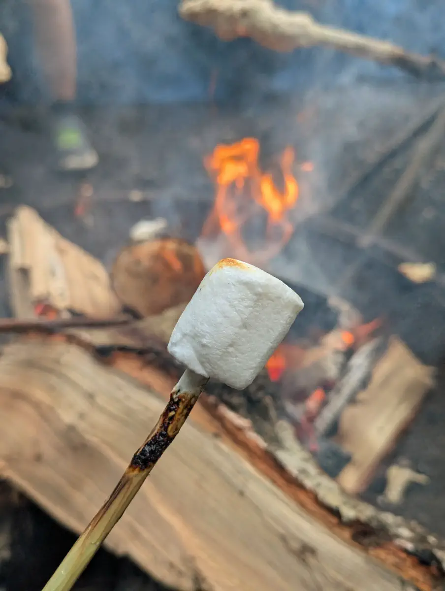 Stockbrot und Marschmellows am Lagerfeuer Stockbrot und Marschmellows am Lagerfeuer